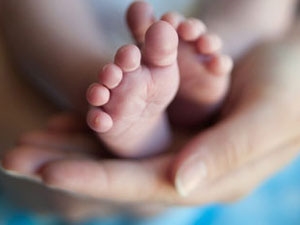 048249dd-931d-4a1c-abac-5e485e44832d_S_secvpf