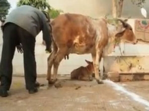 1fc2cfe2-1a9b-4306-87f7-4064c19b9ff5_S_secvpf