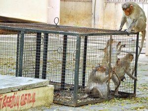 2f357e40-03e0-4152-8420-1c1a18132d3c_S_secvpf