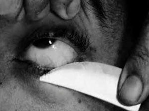 52d3fc05-ebad-4d59-b594-861cd9e150f8_S_secvpf