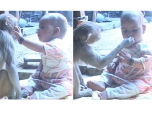 6d7e80de-7596-43e7-b919-fb6340808fc7_S_secvpf