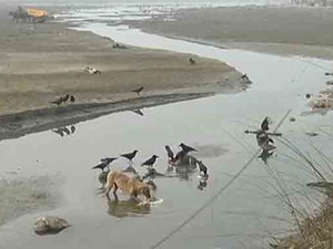 7b934d7c-bdf8-41c6-8a00-3da257e9aabf_S_secvpf