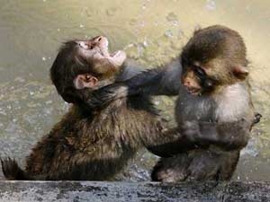 d19d5dcc-36fe-459c-ae71-99a338aa1c4e_S_secvpf