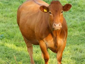 0cb6de2f-20c8-43a0-8548-f73054c4dc3a_S_secvpf