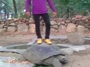 1646deed-278f-46a8-9627-4dd02d587eb2_S_secvpf