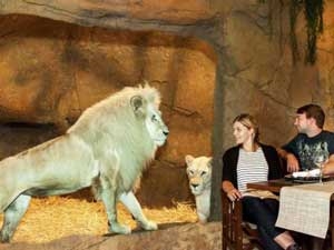 34fa20d4-e5ce-416a-bb29-f9c6ac4f31b1_S_secvpf