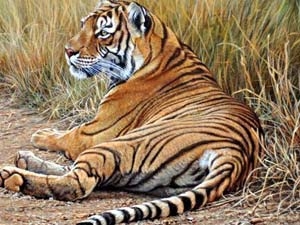 3b854d62-883f-4d23-9823-8e237e6cd913_S_secvpf