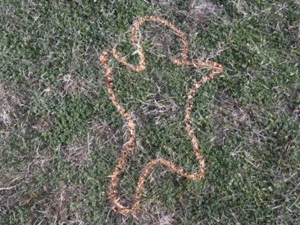 c3e5d384-e8df-47e3-ac5f-40d6178b8d88_S_secvpf