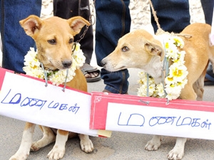 ea17a1f7-b82a-4c33-8d83-fa99f94306c7_S_secvpf