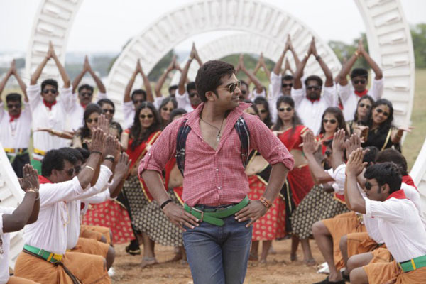 simbu