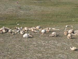 430657c7-d420-438d-9719-1803d403507a_S_secvpf