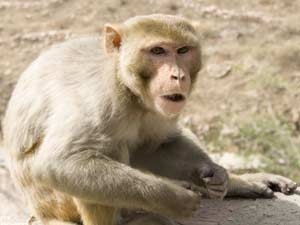 92fb38b4-76d6-4abd-ae76-dbfa994e915c_S_secvpf