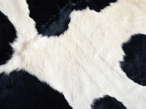 9bfb64f8-6621-4278-a29f-151a049f18c9_S_secvpf