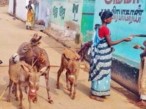 9f422302-223b-4ad2-a5c3-c82d85842838_S_secvpf