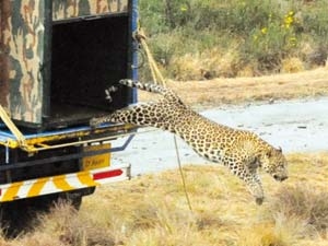 a67455d9-80e3-4460-b3a2-cd96f31fa4bd_S_secvpf