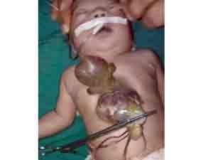 e4104492-de23-431d-b384-bf6e9871d2de_S_secvpf