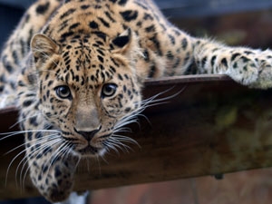 0361b7c6-c244-4c7f-8f6c-2bf5ab36d6d1_S_secvpf