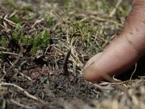 3d23df19-a8e2-4358-a130-75032438c58d_S_secvpf