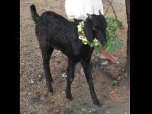 5321c27d-5c72-4750-963e-deefc9db0e9d_S_secvpf