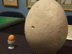 6c3d6ffe-800f-4ba8-b329-d64a2e2b37f5_S_secvpf