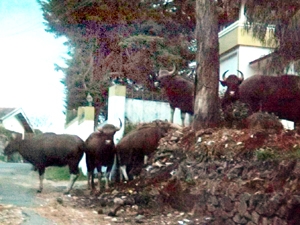 d1e6df82-b21c-4317-a406-6adb3ca1e5ae_S_secvpf