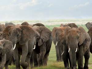 d8e8a769-25d8-421e-9334-839f071d711e_S_secvpf