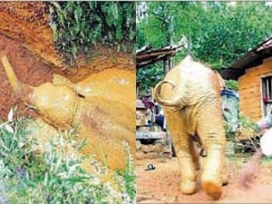 e6902b52-c9c0-4fc5-ae5a-406bd673c1a6_S_secvpf