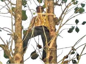 4a661ecb-e52e-41f7-ba6a-cfa8a65e286a_S_secvpf