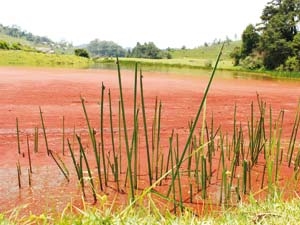 768d8b0d-7e46-4333-9a43-420b8f3fdf54_S_secvpf