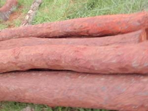 84c71588-d1f0-46de-9983-722f90c23955_S_secvpf