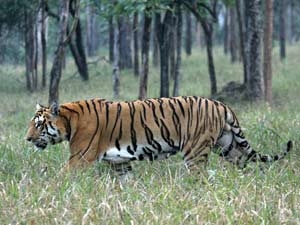 8bd7d50d-d4d6-4568-97eb-e969ab81a480_S_secvpf