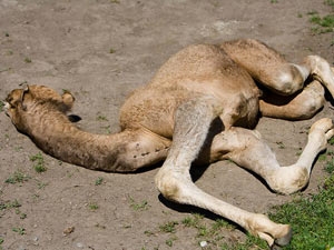 96f6a0dd-bb78-489b-b8c8-950943d4c050_S_secvpf