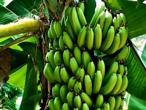 d2900cbb-57c6-4414-9bc6-52d9f80a1850_S_secvpf