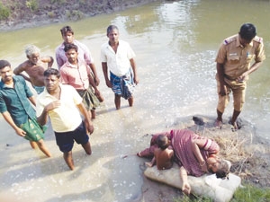 e6a5031c-fa84-45e9-b4a3-4047fcb426c9_S_secvpf