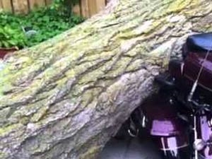 1c1ee874-798b-4c22-b113-c3b832ce79a8_S_secvpf