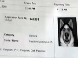 2b3f37bd-35d3-43c9-81de-718543d10c9d_S_secvpf