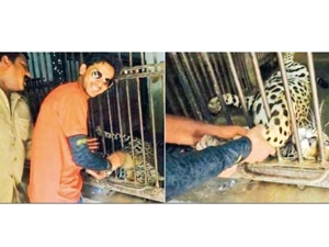 3140a4d6-cf43-4c4d-8149-6260845a01a2_S_secvpf