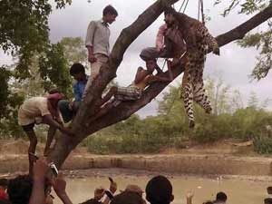 393e7c0c-eab7-4fed-8539-b91b72f3a07e_S_secvpf