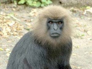 4a822f49-91b3-4dc2-9c7b-2cd85f8f7616_S_secvpf