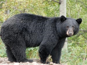 5bd3e035-c5ac-465f-9388-6a28c987725b_S_secvpf