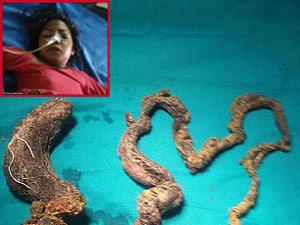 7233a983-891d-47a5-89e7-4b13cdaaf2d2_S_secvpf