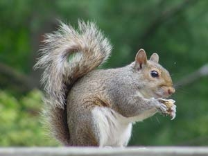 74506cc1-e4e2-4905-94c6-c3a6dad9c219_S_secvpf