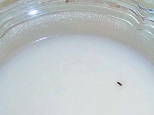 7a386b79-030d-4d76-82f6-be9e9b38ad8d_S_secvpf