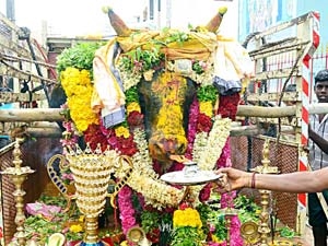 937d3ca4-bd0c-4835-a7f4-d2c941fd539f_S_secvpf