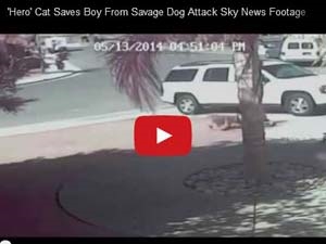 a48d3567-dcdd-410c-b4d0-11e8fa366432_S_secvpf