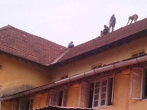 b50af376-2711-4570-9d40-57ab23696ce6_S_secvpf