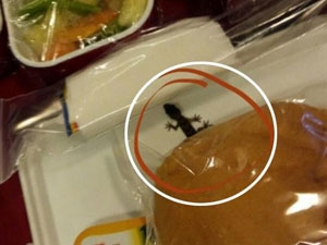 f20780e8-b993-49ed-bb4e-399994fc5112_S_secvpf