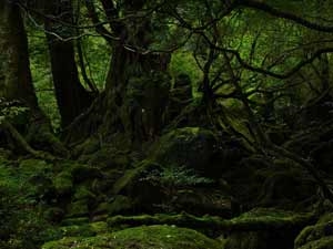 f85a200a-f3dc-48f1-8110-e6e95d20987d_S_secvpf