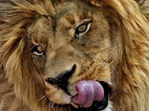 f91841f8-d1b6-4817-a6a8-bb78e701e243_S_secvpf