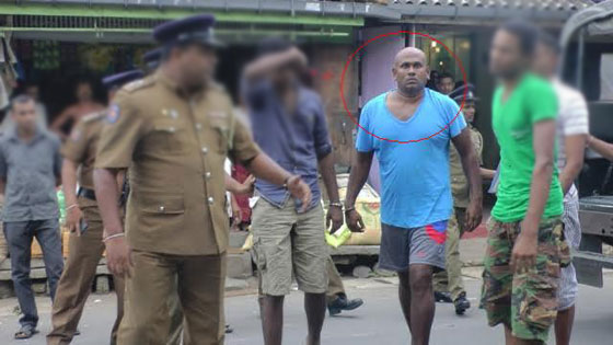 1901703728Untitled-1